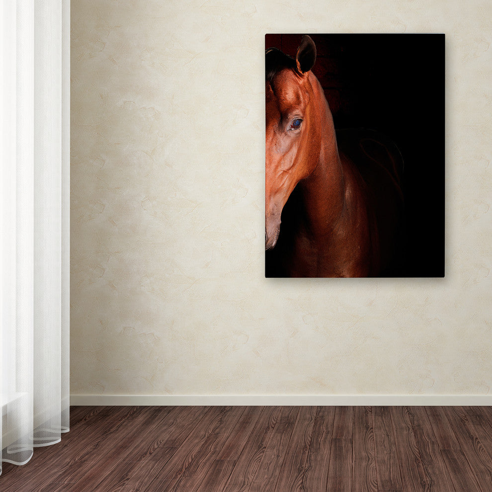 'Kentucky Horse Intense' Canvas Art by Preston