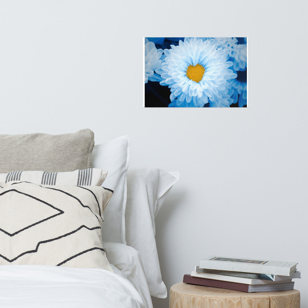 Blue Tinted Chrysanthemums Floral Nature Photo Loose Wall Art Print, 12" X 18"