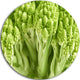 Fresh Green Romanesco Florets, Floral Photo Round Metal Wall Art, 11"