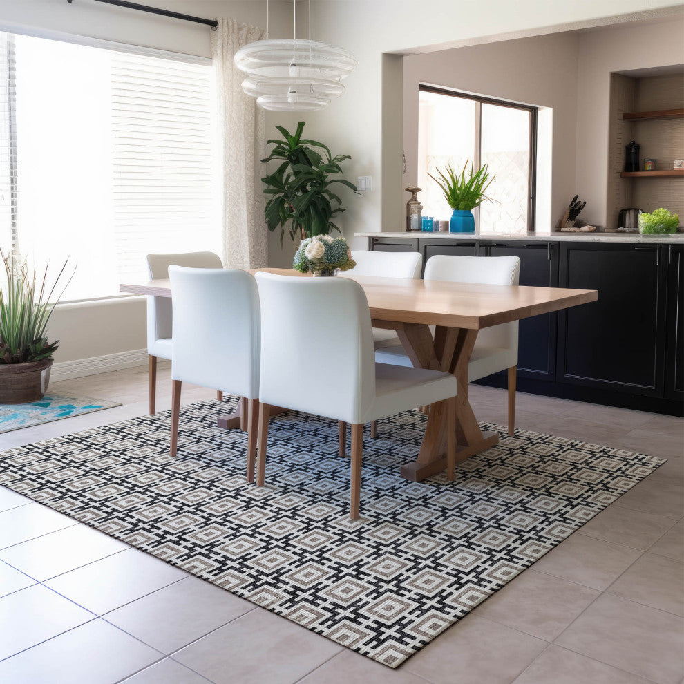 Indoor/Outdoor Marlo MO1 Black Machine Washable 8' x 10' Rug