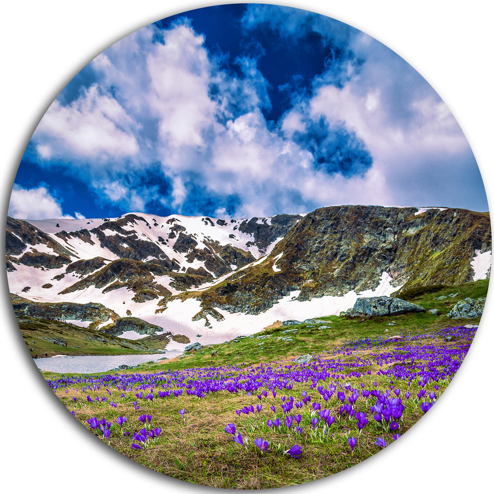 Spring Blooming Crocus Flowers, Landscape Disc Metal Artwork, 36"
