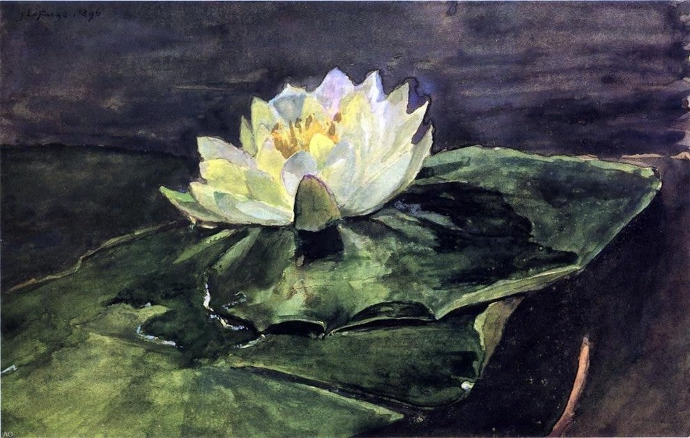 John La Farge Water Lily, 18"x27" Wall Decal Print
