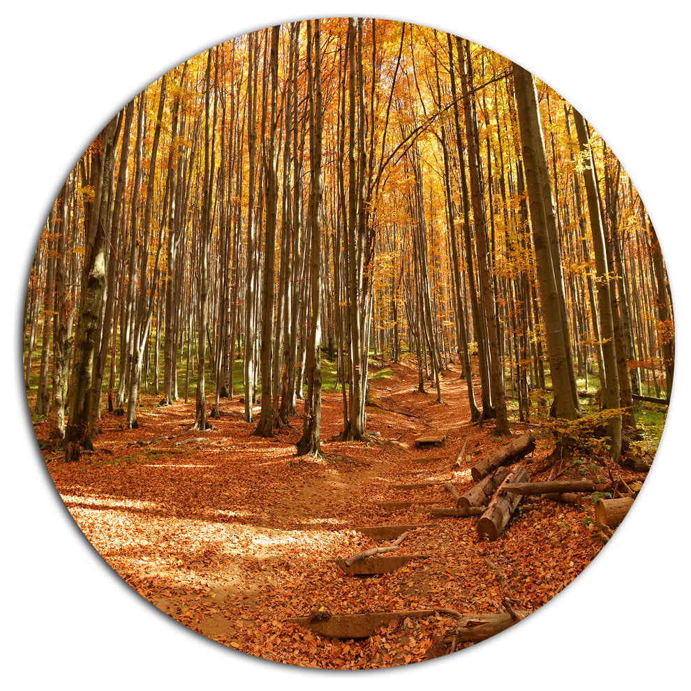 Colorful Fall Forest With Fallen Leaves, Forest Disc Metal Artwork, 23"