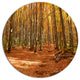 Colorful Fall Forest With Fallen Leaves, Forest Disc Metal Artwork, 23"