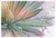 "Dream Desert I" Digital Paper Print by Sue Schlabach, 20"x14"