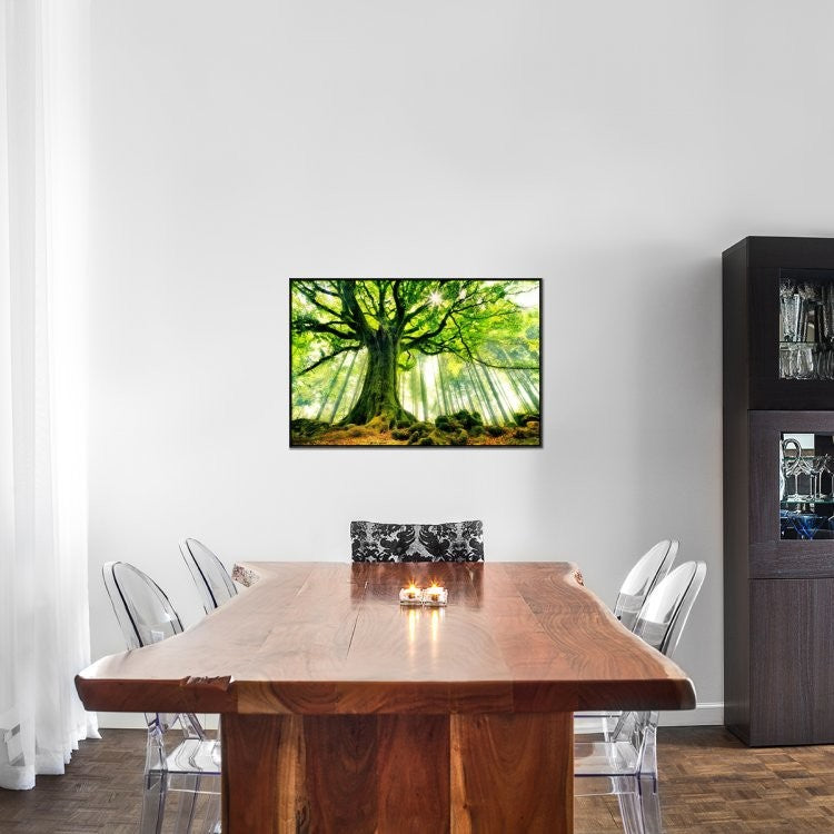 "Ponthus Beech" Framed Canvas Giclee by Christophe Kiciak, 37x25"