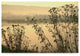 Incredi 'Morning Pastels' Canvas Art, 24"x16"