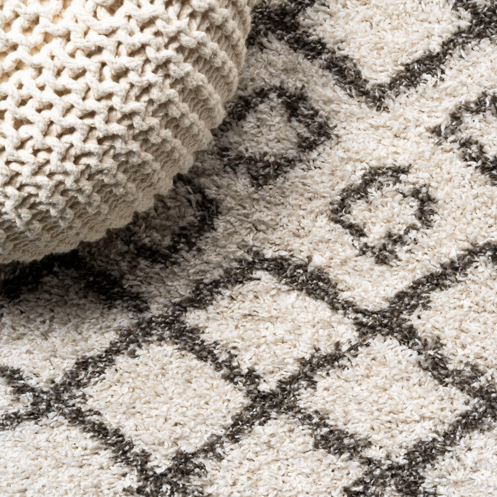 Algaida Moroccan Diamond Shag Beige/Dark Gray 4'x6' Area Rug