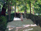Cecilio Pla y Gallardo Jugando en el Parque, Gallery Wrapped Canvas, 21"x28"