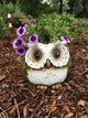 8" Owl Flower Pot
