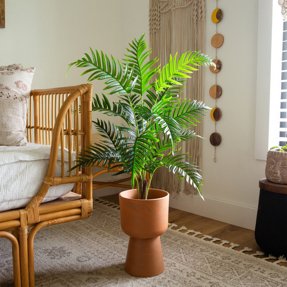 Lifestyle image showing the Areca palm in a room environment; full plant visible; no white background.