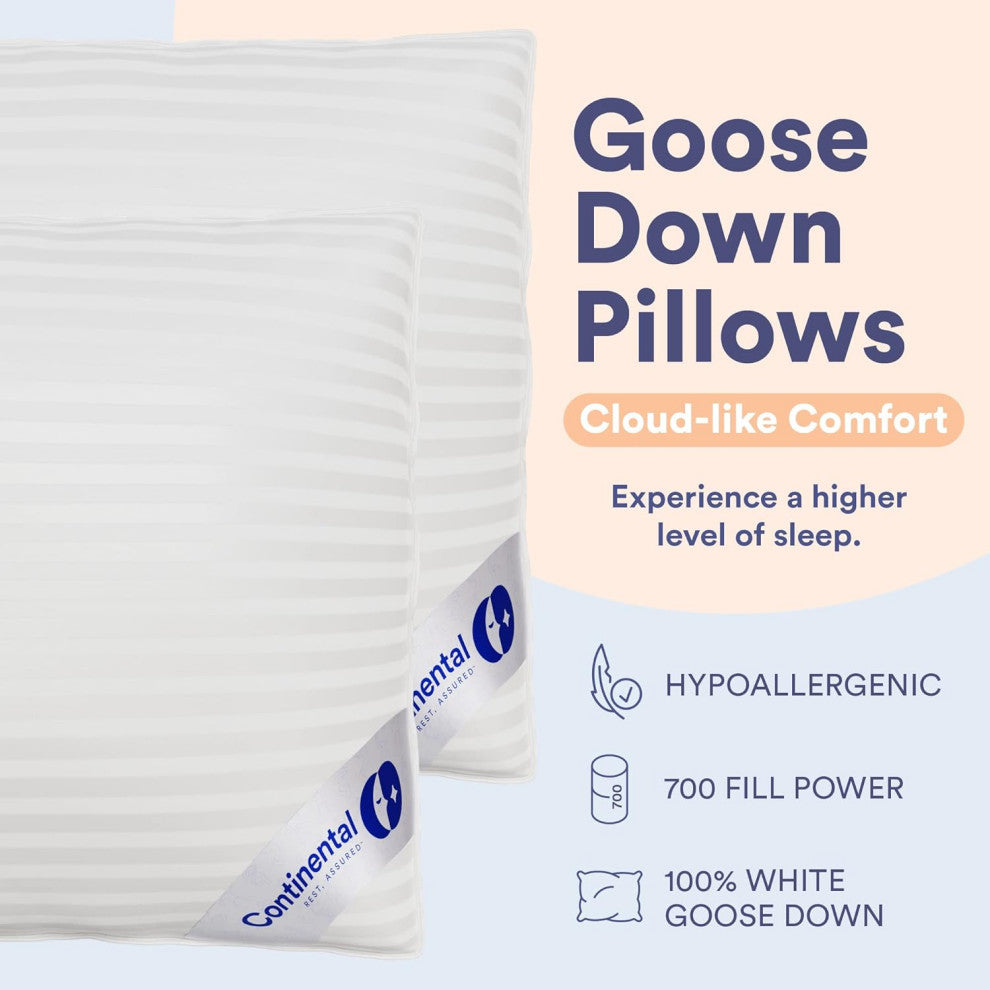 Superior 700 Fill Power -  100% Hungarian White Goose Down Pillow., Standard (Set of 2), Soft