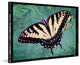 "Sparkling Tiger Swallowtail" Print on Canvas by Robertson