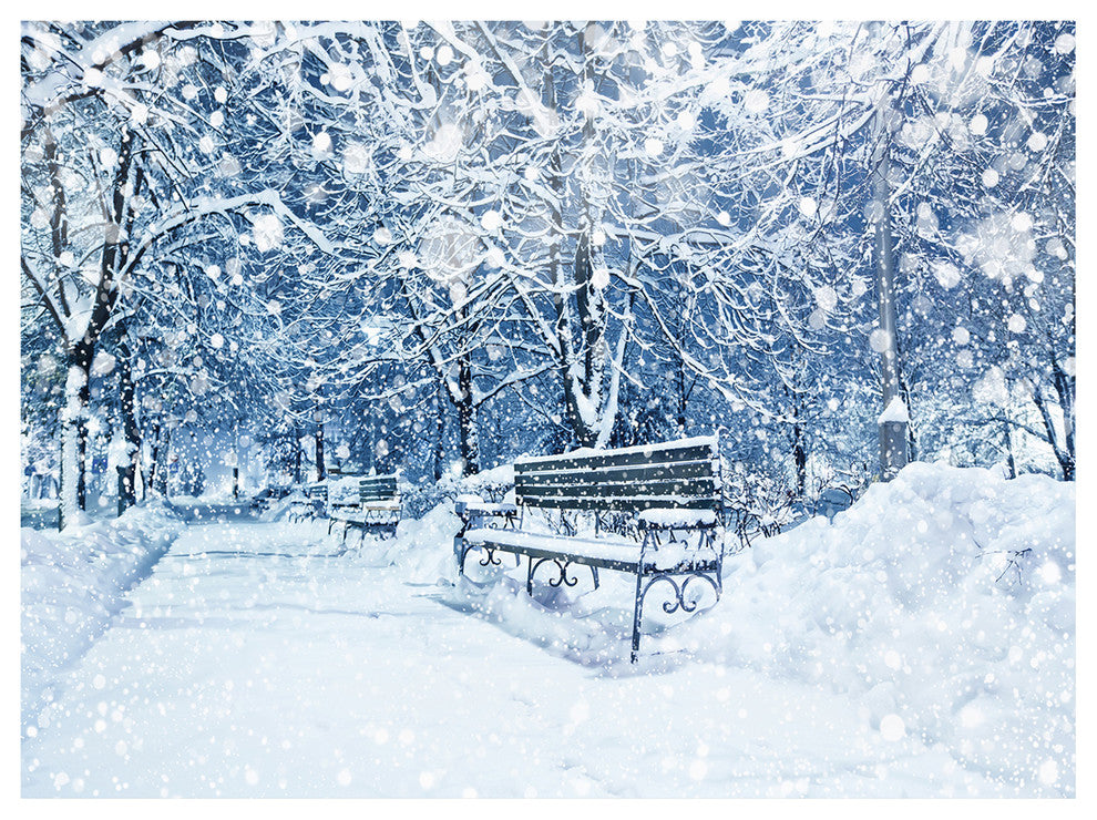 City Covered with Snow, Landscape Canvas Art Print, 40"x30"