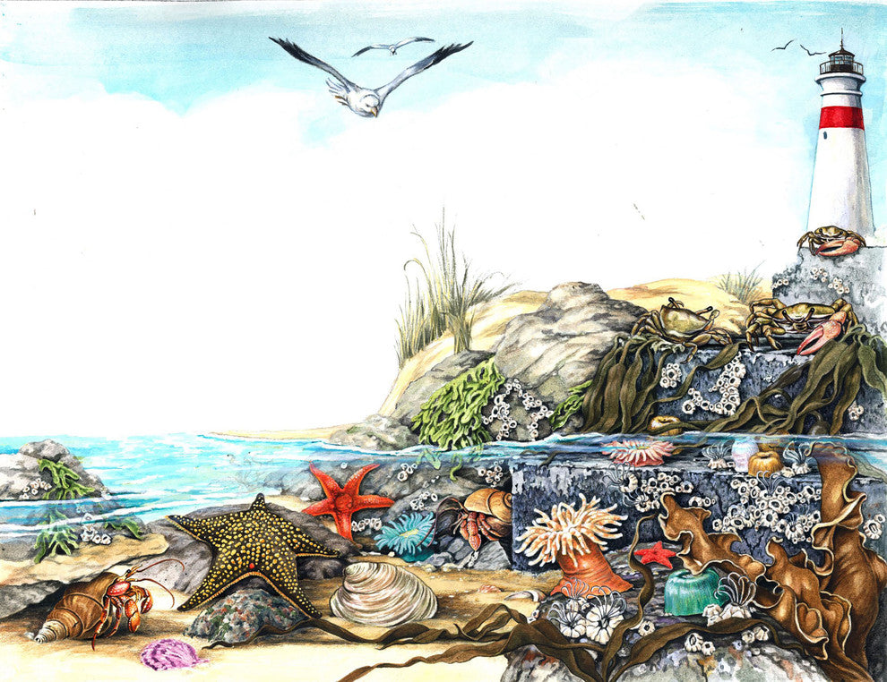 "Undersea Life" Painting Print on Wrapped Canvas