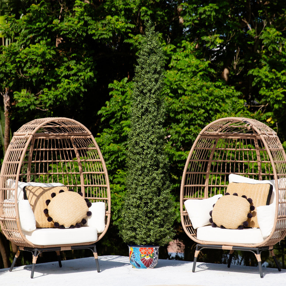 Lifestyle image showing the plant outdoors with seating for scale.