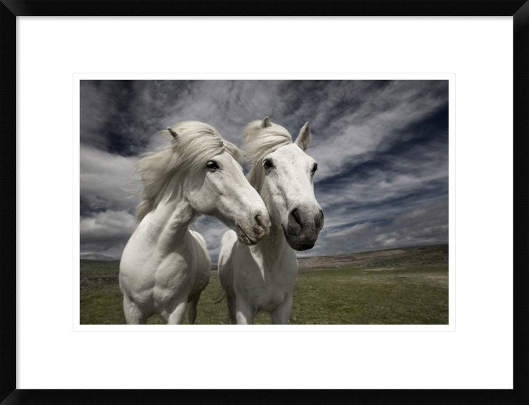 "Inseparables" Framed Digital Print by Bragi Ingibergsson, 26"x20"