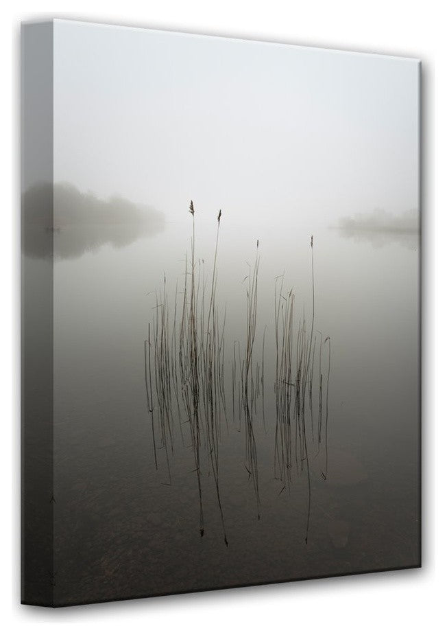 Reeds in the Mist' Canvas Wall Decor