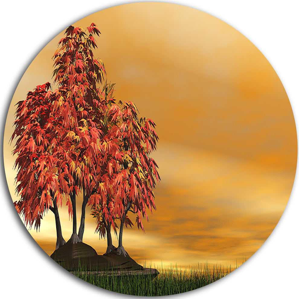 Bonsai Landscape, Photography Disc Metal Artwork, 11"