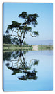 Beautiful Tree Reflecting in Lake, Oversized Landscape Canvas Art, 16"x32"