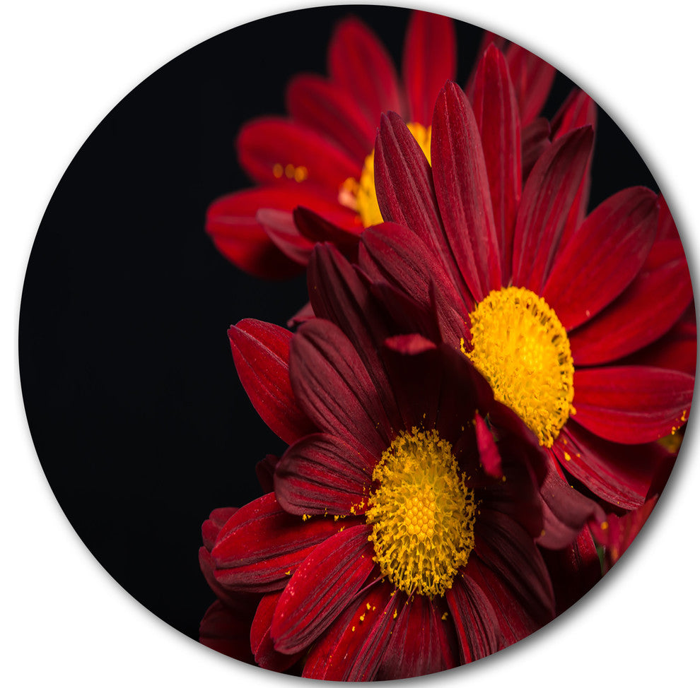 Red Velvet Chrysanthemum Flowers, Floral Large Disc Metal Wall Art, 11"