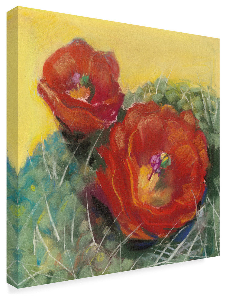 Carol Rowan 'Blooming Succulent I' Canvas Art