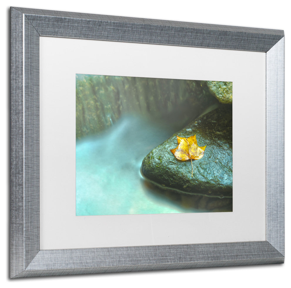 PIPA Fine Art ''Misty Leaf'' Matted Framed Art, 20x16