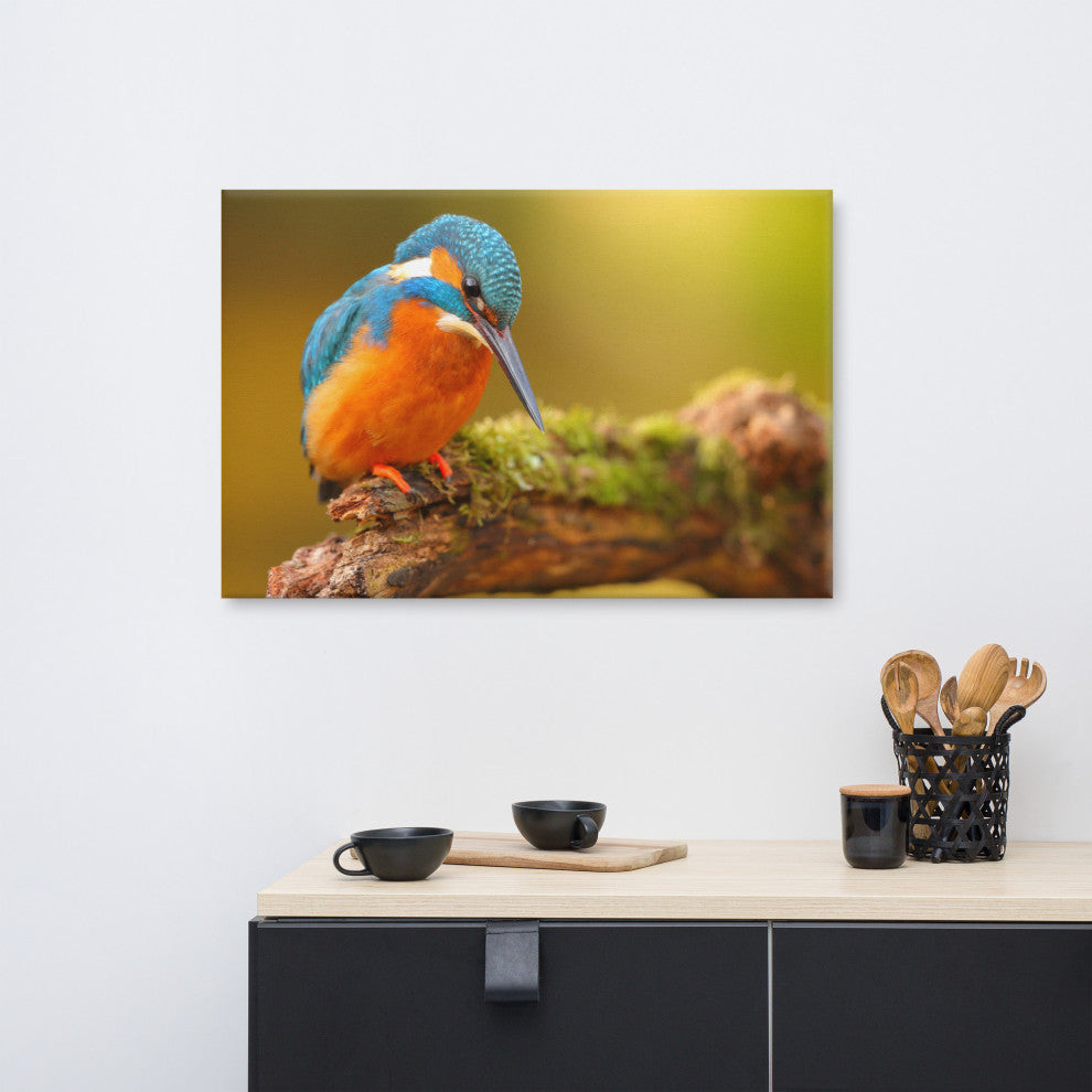 Kingfisher Bird on Perch 2 Animal Wildlife Photo Canvas Wall Art Prints, 24" X 36"