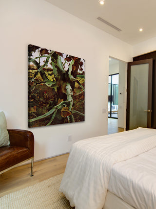 "Sycamore Tree" Painting Print on Wrapped Canvas