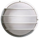 1 Light 10" Round Cage Wall Fixture Polysynthetic Body and Lens