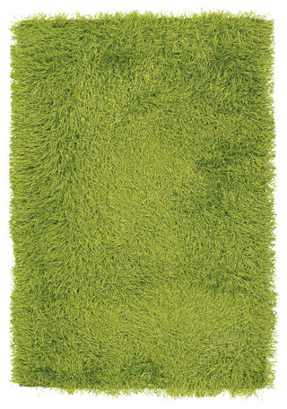 Duke Contemporary Area Rug, Green, 9'x13'