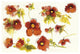 "Independent Blooms Element VI" Digital Paper Print by Shirley Novak, 32"x22"