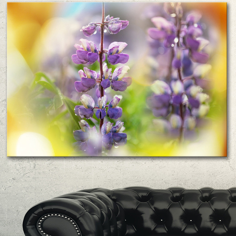 Beautiful Blue Lupin Flowers, Large Flower Canvas Art Print, 40"x30"