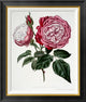 "China, Archduke Charles" Framed Canvas Giclee by Henry Curtis, 24x28"