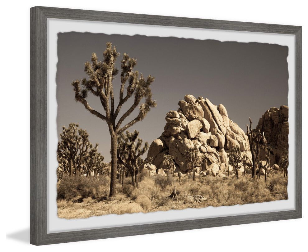 "Cactus and Rocks" Framed Painting Print, 24x16
