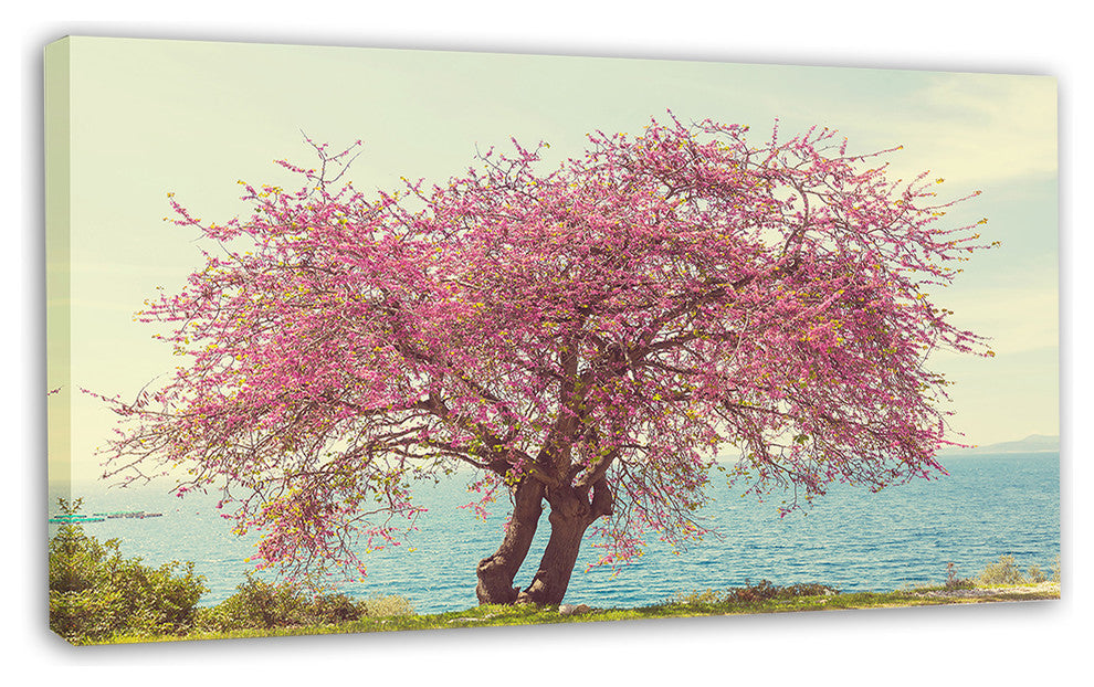 Pink Flowers on Lonely Tree, Landscape Canvas Art Print, 32"x16"