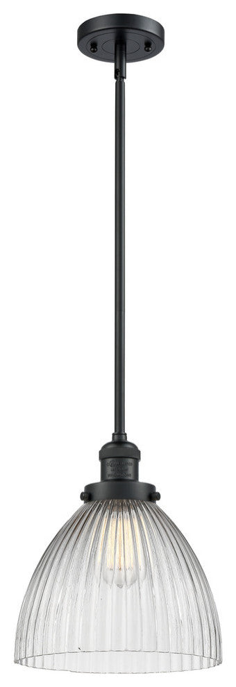 1-Light Seneca Falls 10" Pendant, Matte Black
