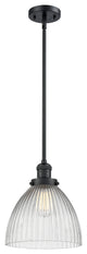 1-Light Seneca Falls 10" Pendant, Matte Black