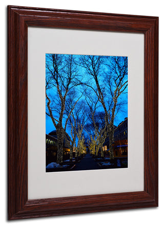 'Boston 2' Matted Framed Canvas Art by CATeyes