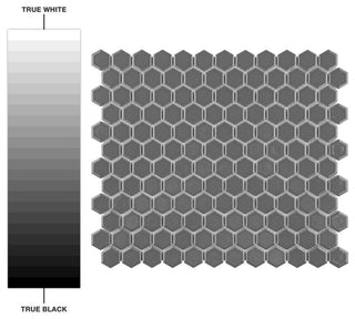 Metro 1" Hex Glossy Grey Porcelain Floor and Wall Tile