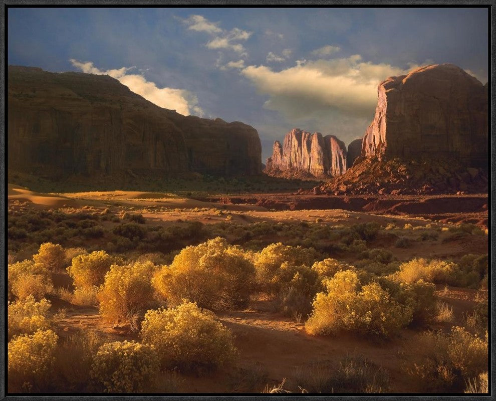 Camel Butte Rising Out Of Desert, Monument Valley, Arizona, 24"x20"