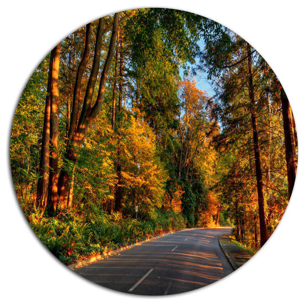 Road Through Lit-Up Fall Forest, Landscape Round Metal Wall Art, 11"