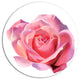 Pink Rose Sketch On White Background, Flowers Disc Metal Wall Art, 36"