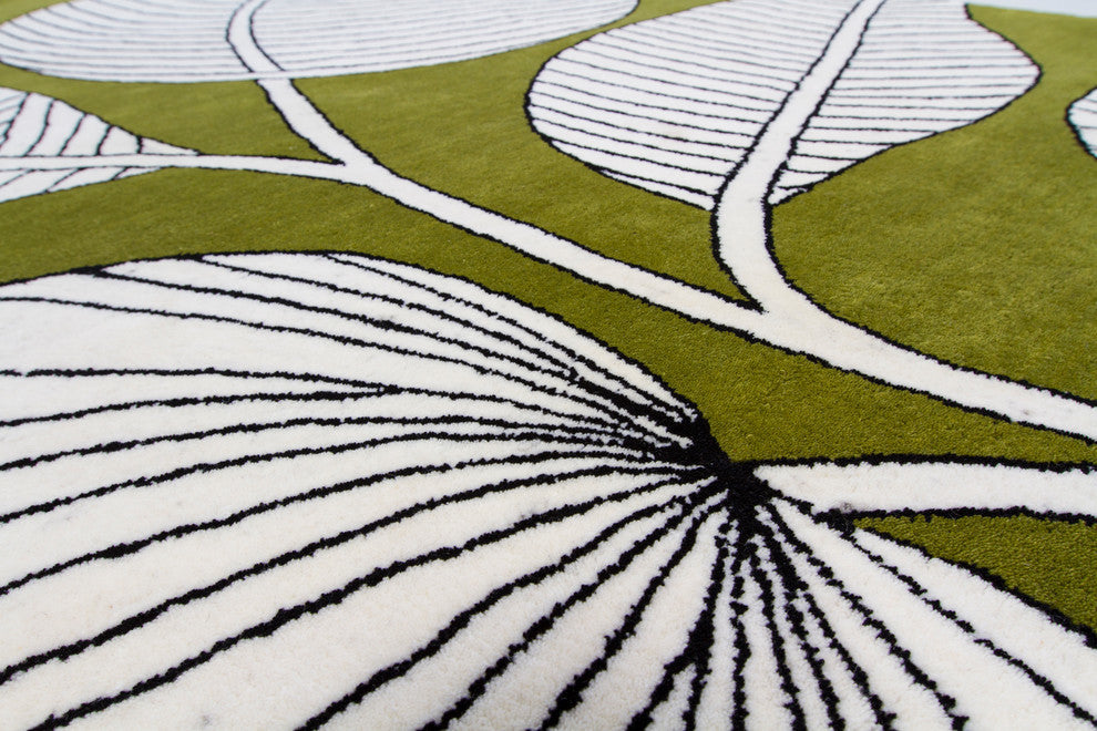 Int Transitional Area Rug, 5'x7'6"