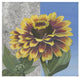 "Zinnia Spice and Silver" Digital Paper Print by Kathrine Lovell, 26"x26"
