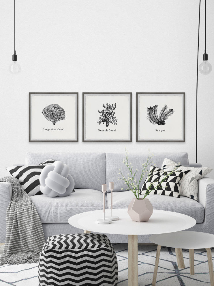 Sea Pen Triptych, 3-Piece Set, 24x24 Panels
