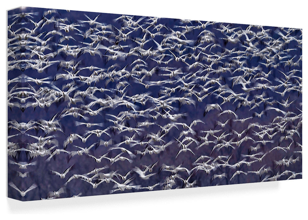 Tao Huang 'Snow Geese White' Canvas Art, 32"x16"