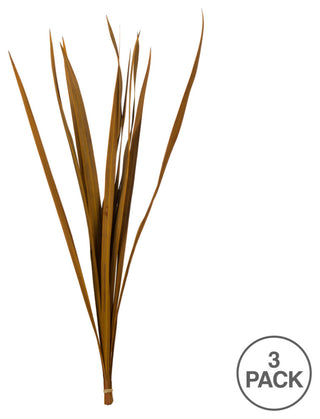 Vickerman 18-30" Snake Grass, Dried 36 Stems