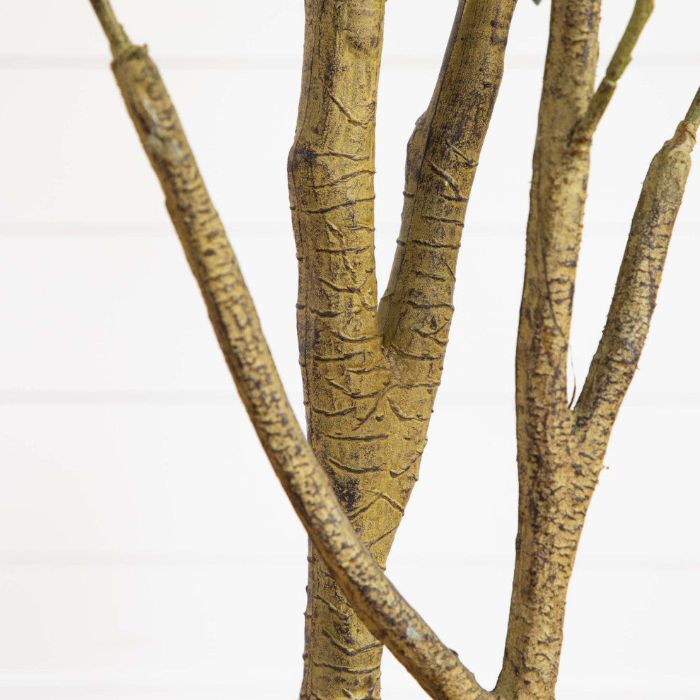 Close-up of trunk on white background.