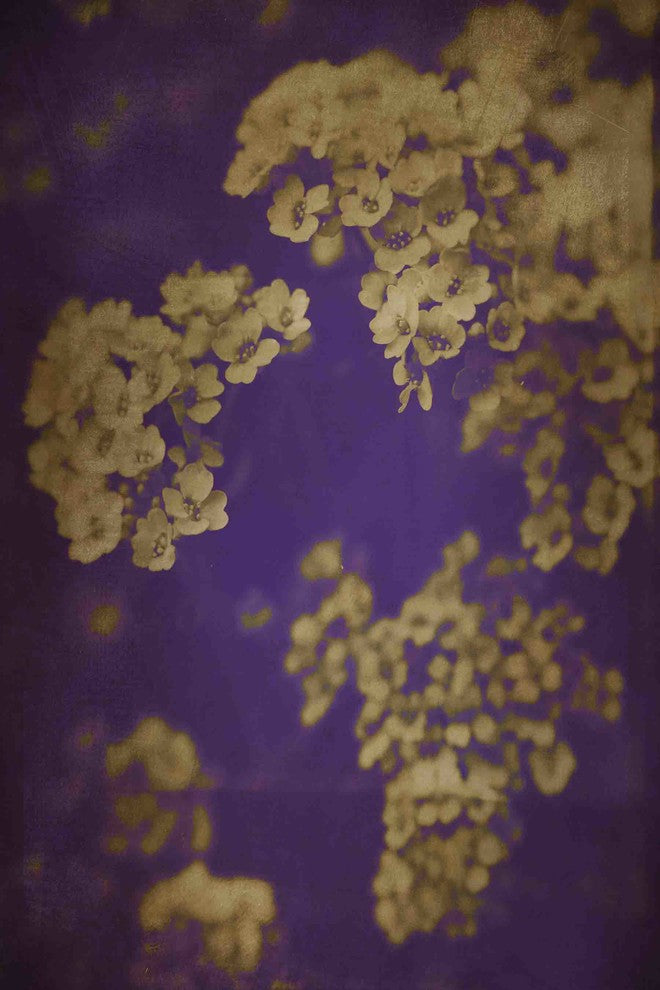 "Darkest" Painting Print on Canvas by Jorgensen